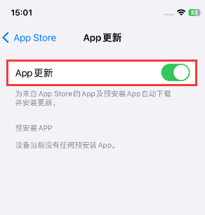 克什克腾苹果15维修中心如何让iPhone15APP自动更新